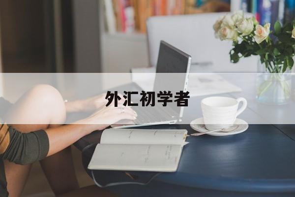 外汇初学者(外汇初学者书籍)