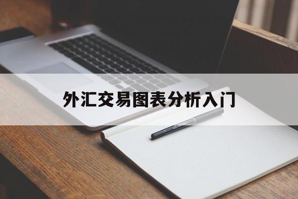 外汇交易图表分析入门(外汇交易图表分析入门pdf)