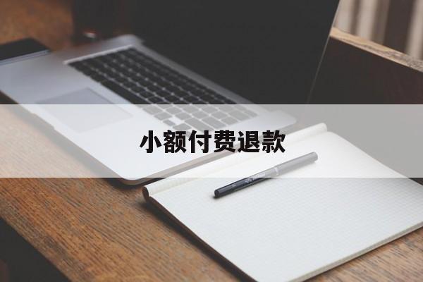 小额付费退款(小额支付业务退回申请应遵循的原则)