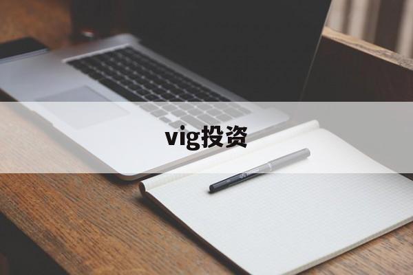 vig投资(viggleai官网入口)